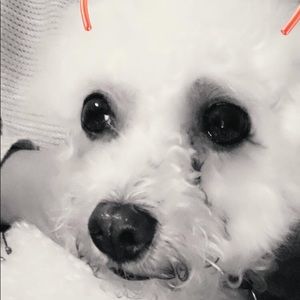 Meet your Posher, Flora